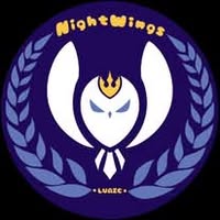 NightWings Logo
